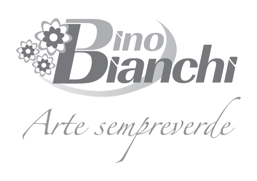 Dino Bianchi