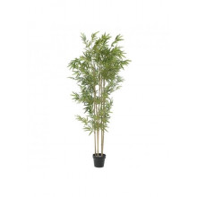 PLANT IN A POT GREEN H160